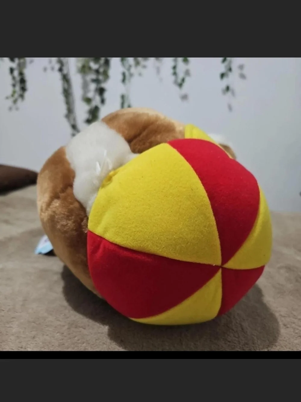 Sad Sam Plush Dog Toy - Brown and White Plush Puppy